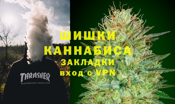 дмт Белокуриха