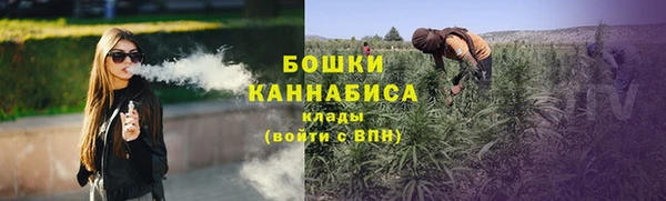 дмт Белокуриха