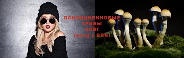 дмт Белокуриха