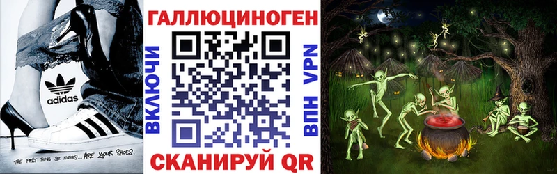blacksprut ONION Павловск Псилоцибиновые грибы Psilocybine cubensis
