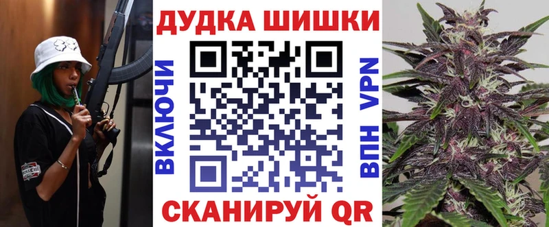 Шишки марихуана марихуана  Павловск 